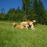 Bauernhof Forsterhof *