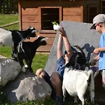 Forsterhof Farmház Ramsau am Dachstein
