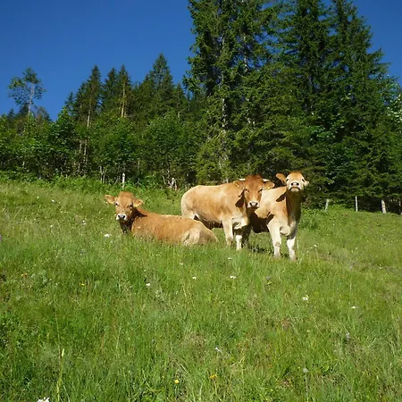 Gospodarstwo agroturystyczne Forsterhof *
