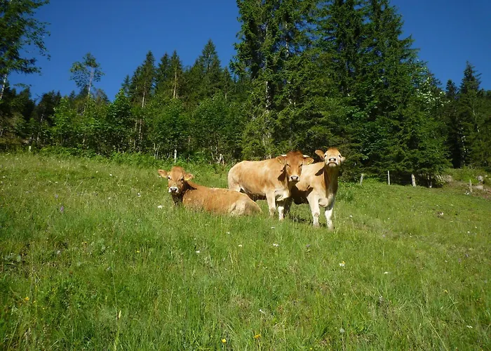 Vakantieboerderij Forsterhof *