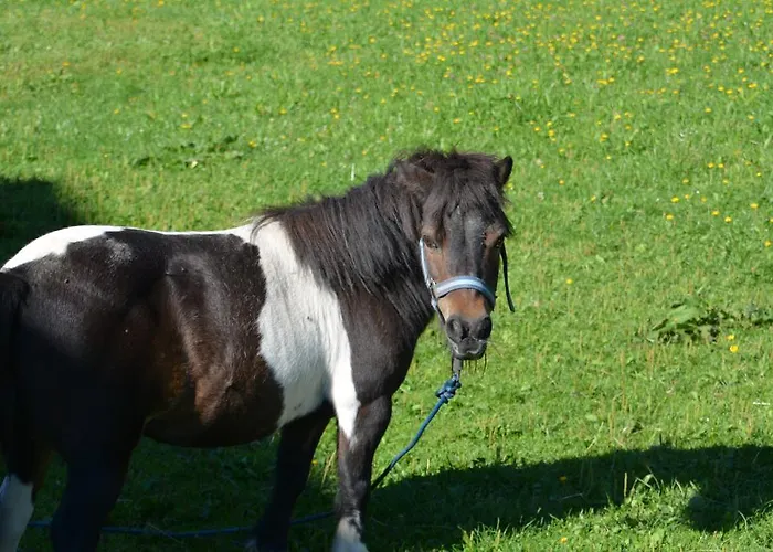 Forsterhof Vakantieboerderij Ramsau am Dachstein