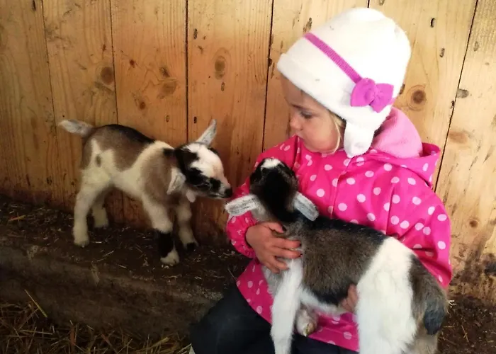 Forsterhof Vakantieboerderij *